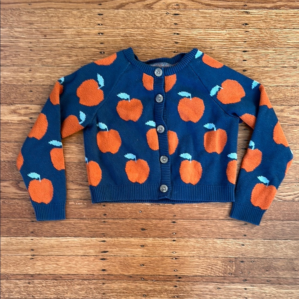 Kids Blue and Orange Apple Sweater